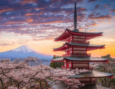 JAPAN IS BACK: <br> Explore the best of Japan